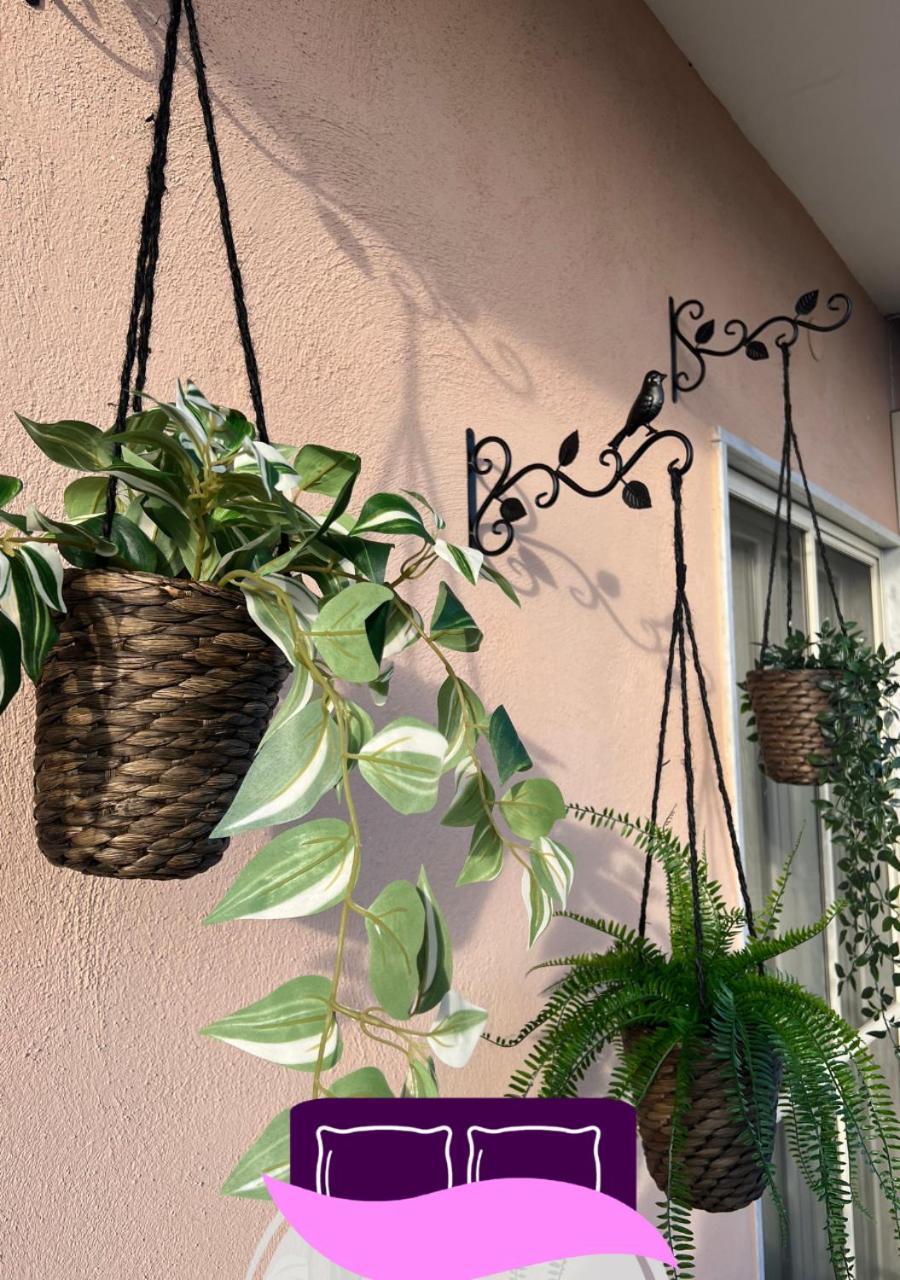 B&B Anastasia Pompei Bagian luar foto